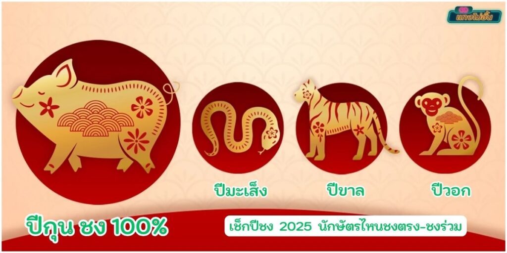 ปีชง2025