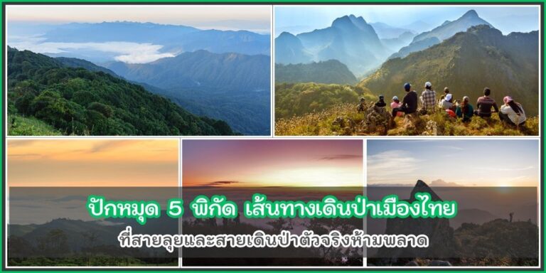 เส้นทางเดินป่า