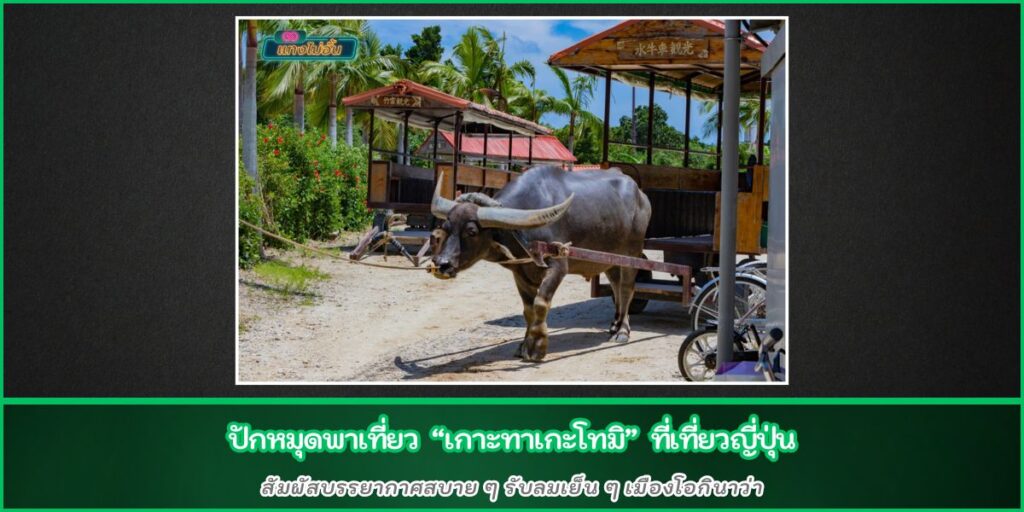เกาะทาเกะโทมิ