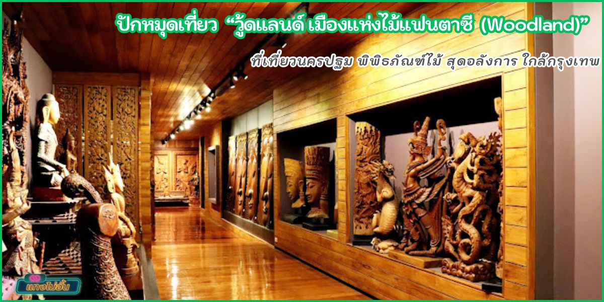 ปักหมุดเที่ยว Woodland Museum นครปฐม พิพิธภัณฑ์ไม้ สุดอลังการ ใกล้กรุงเทพ 