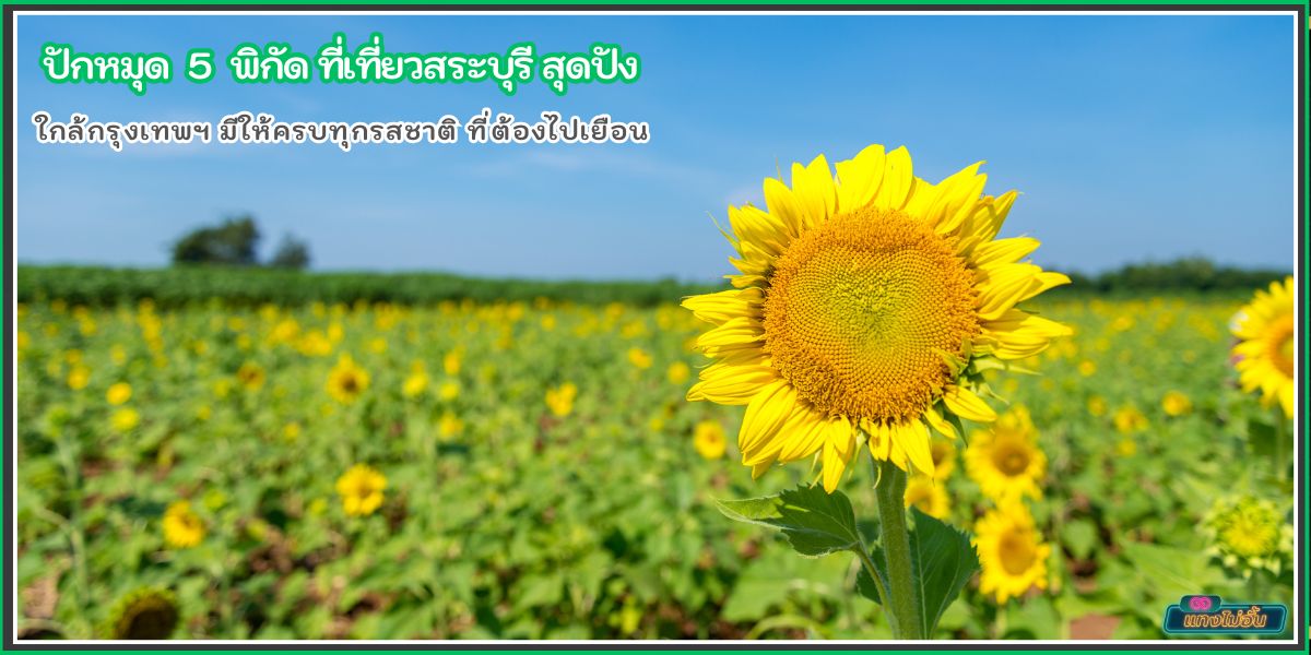 ปักหมุด 5 ที่เที่ยวสระบุรี ใกล้กรุงเทพฯ มีให้ครบทุกรสชาติ ที่ต้องไปเยือน