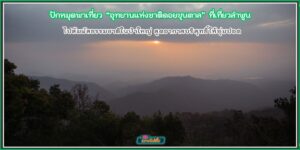 ปักหมุดเที่ยวขุนตาล ณ ดอยขุนตาล จังหวัดลำพูน ไปสัมผัสธรรมชาติในป่าใหญ่ สูดอากาศบริสุทธิ์ให้ชุ่มปอด