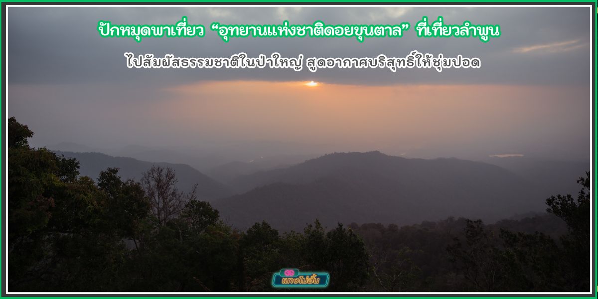 ปักหมุดเที่ยวขุนตาล ณ ดอยขุนตาล จังหวัดลำพูน ไปสัมผัสธรรมชาติในป่าใหญ่ สูดอากาศบริสุทธิ์ให้ชุ่มปอด